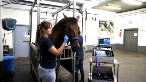 B16I0525_Copy.original