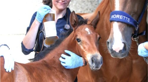 B16I0525_Copy_2.original