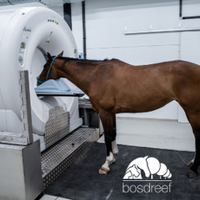 CT-scan-hoofd-e1632263274877 CT-scan-hoofd-e1632263274877